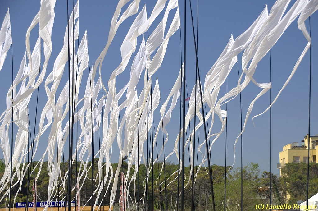 32 FESTIVAL CERVIA 2012 - 039.jpg
